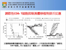 The graphs illustrate the allogeneic bone marrow transplantation on humanized mice model.